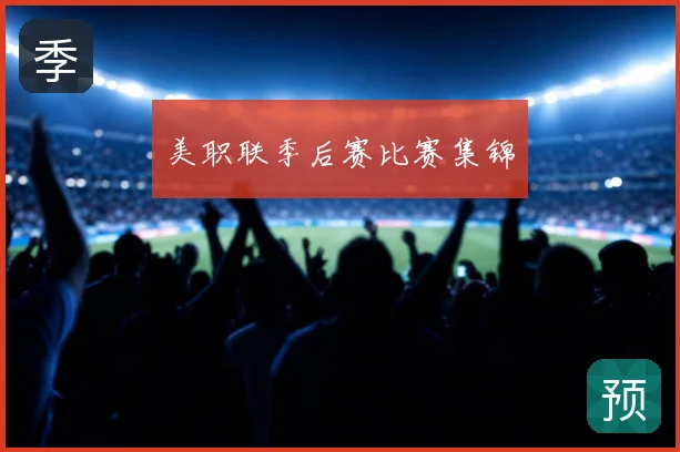 美职联季后赛比赛集锦